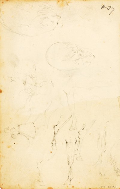 (Studie - postavy, kláda, kůň a jezdec atd.) od William Page