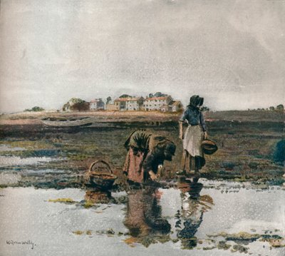 Sběr mušlí, c1908 od William Page Atkinson Wells