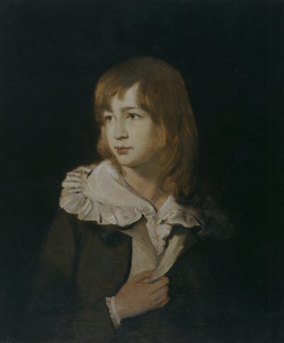 Portrét chlapce, John Parry of Garden, asi 1788-89 (olej na plátně) od William Parry