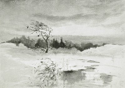 Krajina s vodou a větrem ošlehaný strom od William Parsons Winchester  Dana