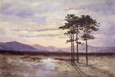 Západ slunce, hrabství Sligo (akvarel na papíře) od William Percy French