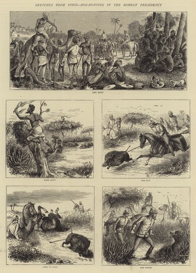 Sketches from India, Hog-Hunting in the Bombay Presidency (Lov prasat v Bombaji) od William Ralston