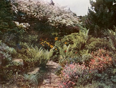 od William Ransford