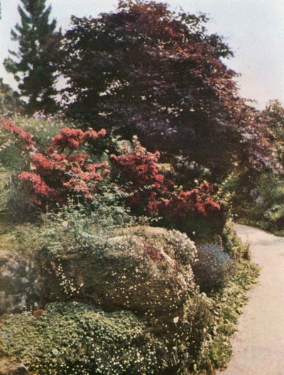  od William Ransford