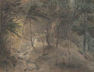 The View from the Springhouse at Echo, c.1808 (akvarel a inkoust na tkaném papíře) od William Russell Birch