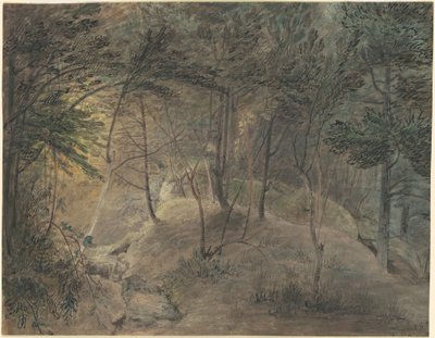 Pohled z Springhouse v Echo od William Russell Birch
