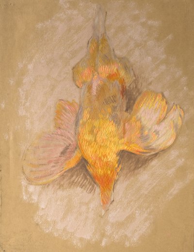 Study of a Fowl for Highland Raiders, kolem roku 1918 (olej na papíře) od William Shackleton