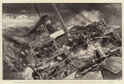 The Perils of the Atlantic, dobytčí parník zachycený vichřicí na její cestě z Buenos Ayres do Liverpoolu od William Small