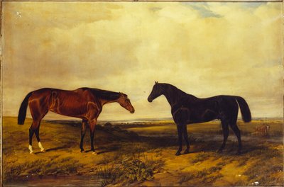 Světlá klisnička a tmavý hnědák hraběte z Granarda, 1885 od William Snr. Luker
