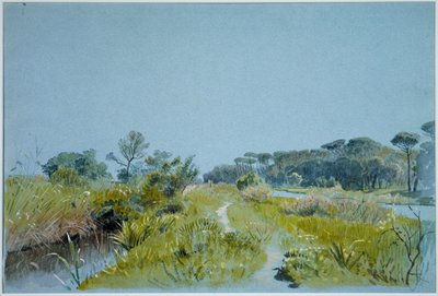 Castel Fusano - poblíž Říma od William Stanley Haseltine