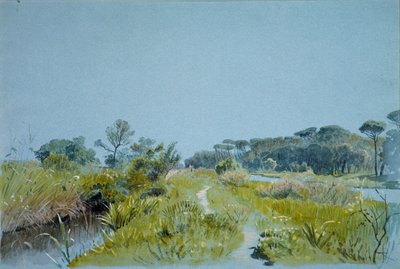 Castel Fusano poblíž Říma, ca. 1885. od William Stanley Haseltine