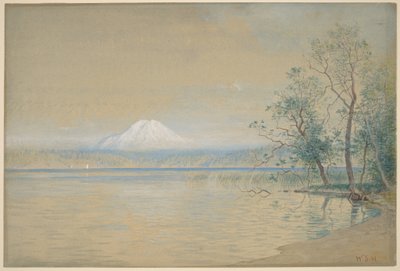  od William Stanley Haseltine