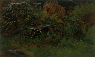 Studie z přírody. od William Stanley Haseltine