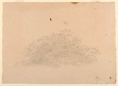 Studium listí od William Stanley Haseltine