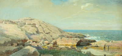 Maine Coast at Sunset (kombinovaná média na papíře) od William Stanley Haseltine
