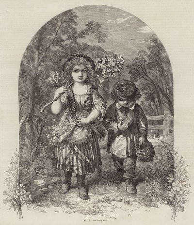 Smět od William Stephen Coleman