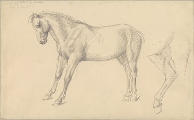 Studie poníka od William Strutt