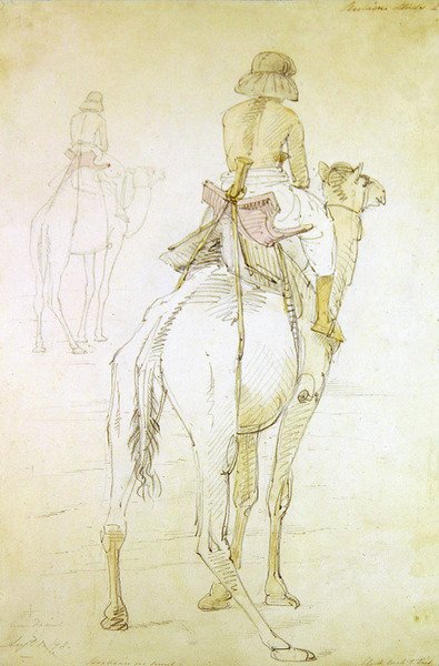 Studie muže na velbloudu od William Strutt
