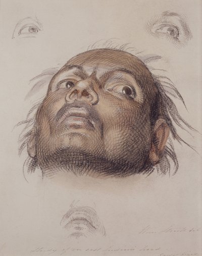 Studie hlavy východního Indiána, kolem roku 1875 (pastel a pero na papíře) od William Strutt