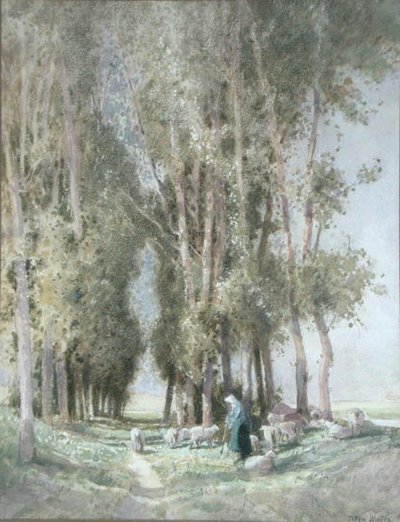 Pastýřka a její stádo, Holandsko (akvarel na papíře) od William Tatton Winter