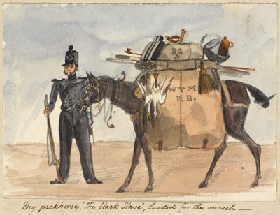 Můj soumarský kůň, černý otrok, nabitý na pochod, kolem roku 1854 (akvarel a tužka na papíře) od William Thomas Markham