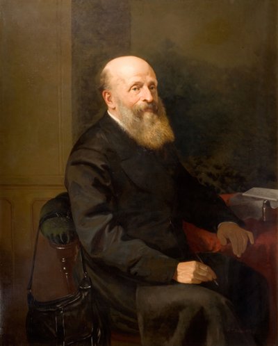 Portrét Johna Birta Daviese, 1873. od William Thomas Roden