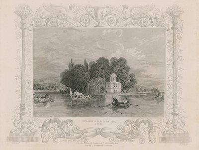Pohled poblíž Henley od William Tombleson