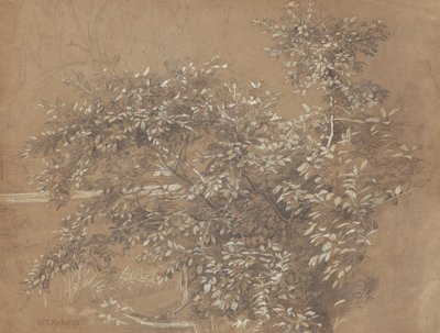 Olistění od William Trost Richards