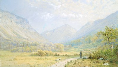 Franconia Notch, New Hampshire od William Trost Richards