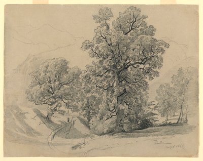 Krajina, Lauterbrunnen, Švýcarsko od William Trost Richards