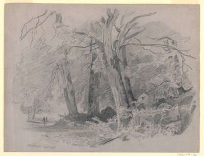 Krajina, Meiringen, Švýcarsko od William Trost Richards
