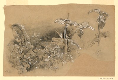 Studium listí od William Trost Richards