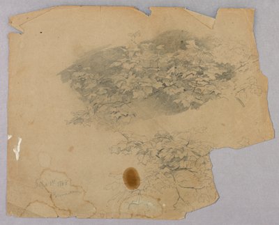 Studium listí od William Trost Richards