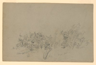 Studium listí od William Trost Richards