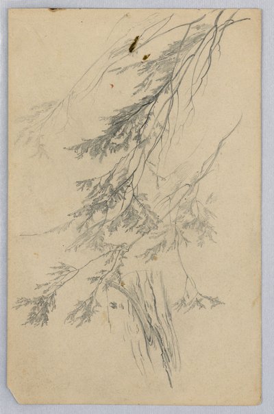 Studium listí od William Trost Richards