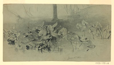 Studium listí od William Trost Richards