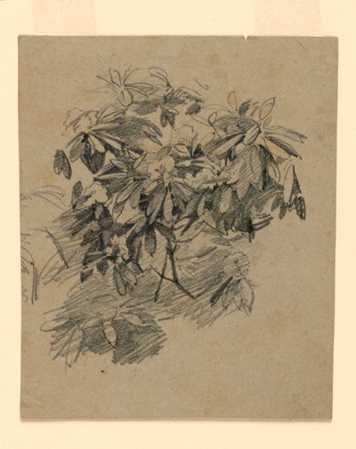 Studium listí od William Trost Richards