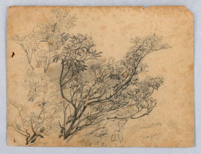 Studium listí od William Trost Richards