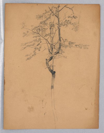Studium listí od William Trost Richards