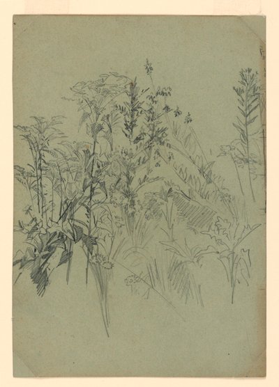 Studium listí od William Trost Richards