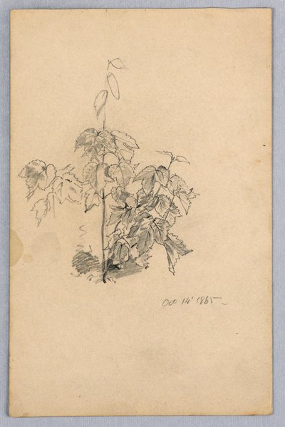Studium listí od William Trost Richards