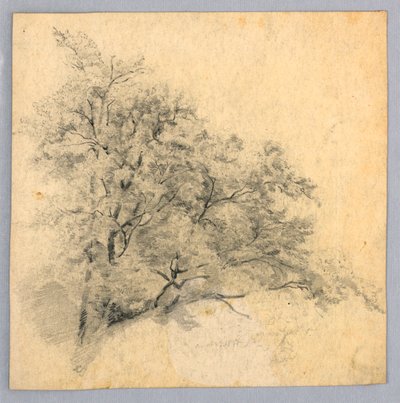 Studium listí od William Trost Richards