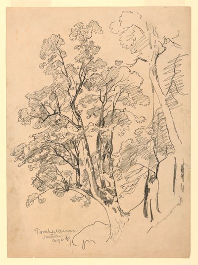 Studium listí, Trachselwald, Bern, Švýcarsko od William Trost Richards