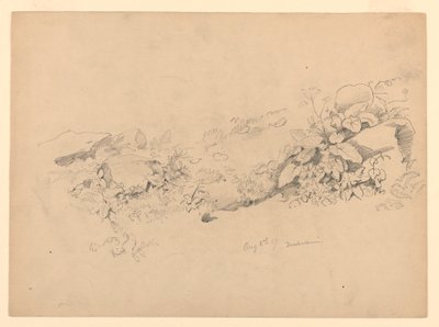 Studium listí, Trachselwald, Bern, Švýcarsko od William Trost Richards