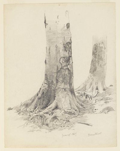 Kmeny stromů, Darmstadt od William Trost Richards