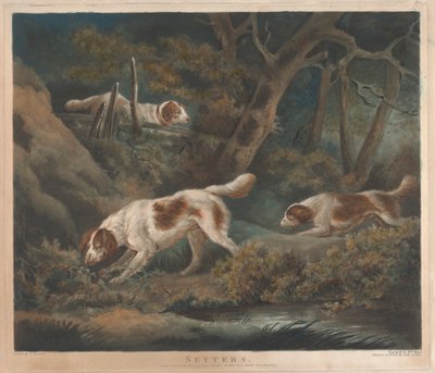 [Střelba]: Setři od William Ward