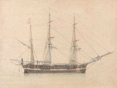 Velrybář "pravá láska" z Hullu od William Ward