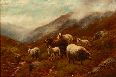Highland Sheep On a Hillside (olej na plátně) od William Watson