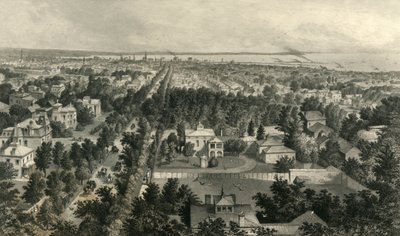 "Město Buffalo", 1872. od William Wellstood