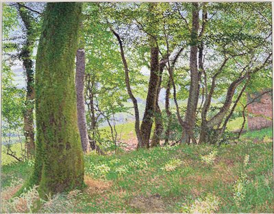 Carmarthenshire odpoledne od William Wilkins